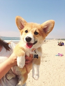 *.*