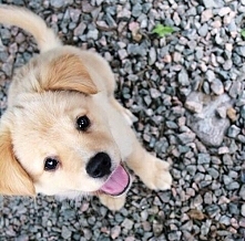 Prawdziwy przyjaciel, nigdy...