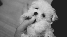 wow *.*