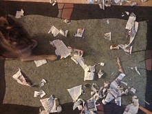 Odiś ubiera swoją choinkę :)