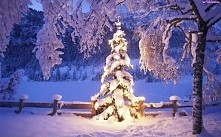 Wesołych świąt spędzonych w gronie najbliższych pijanego sylwestra i szczęśliwego nowego roku mordeczki moje 