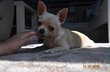 najsłodsza na świecie :*