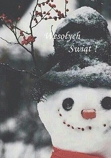 Wesołych Świąt wszystkim!