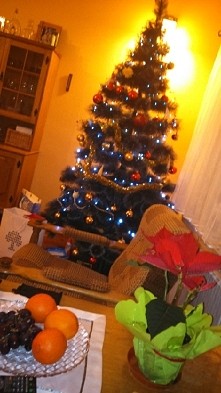 Wesołych Świąt ⛄❄