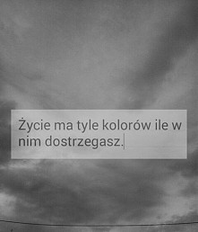 #czarnobiałe #sad