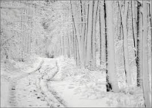 Grudniowe cytaty, czyli dla...