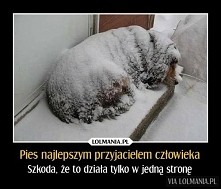Święta prawda :-(