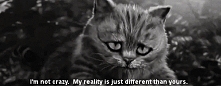 Nie jestem szalony. Moja rzeczywiztość jest po prostu inna niż twoja