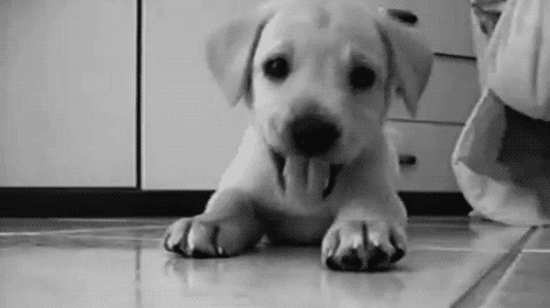 *.*