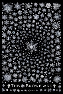 czyż to nie jest piękne? :3