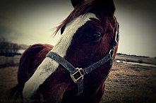 Czo ża śliczności ^^