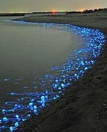 amazing