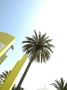 otwieram oczy a tu taki piękny widok