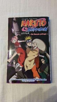 Demony zamierzają zniszczyć świat. Jedynym sposobem, by je powstrzymać jest 'zamknięcie' potworów w człowieku. Shion, pochodząca z Kraju Demonów posiadła tę umiejętnoś...