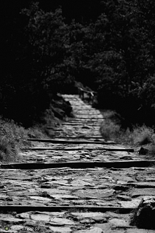 Nie wiesz co cię czeka na końcu drogi...