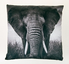 słonik na szczęście :)