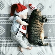 baby and cat