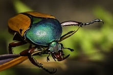 Często wydaje nam się, że jesteśmy wyjątkowi. Nie zauważamy jednak, że żyjemy z innymi i dla innych, że jest to celem naszego istnienia. Słyszałaś, że człowiek jest zwierzęciem ...