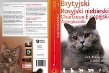 Koty krótkowłose