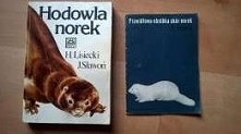 Hodowla norek,norki prawidłowa obróbka skór