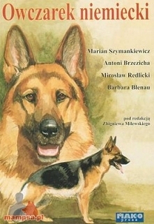 Owczarek niemiecki