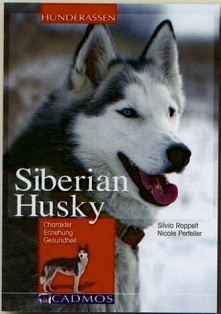 Husky syberyjski.