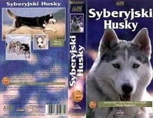 Kaseta z cyklu "Encyklopedia Psów" Sybeyjski Husky - polarny odkrywca: