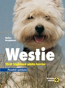 Westie. West highland white terrier - Berghauser Walter