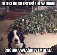 No jak tu teraz wydzierać się na tego słodziaka :)
