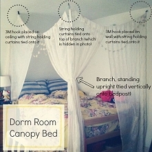 Dorm Room Canopy Bed
