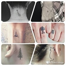 który najładniejszy ?????