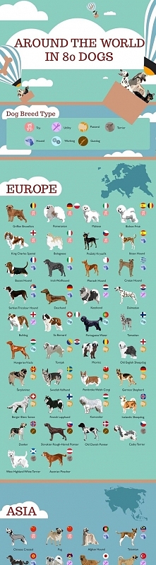 Some useful dog infographics