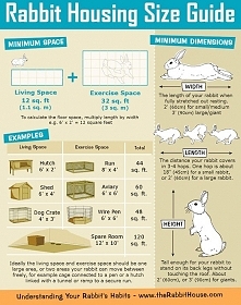 Rabbit living spaces, size guide - not from us but we agree with this welfare standard and works well when applied to everything from Netherland Dwarfs to British Giants!