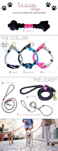 Doggies: lasso dogs - these are so cute...not that I have a dog but I love 'em