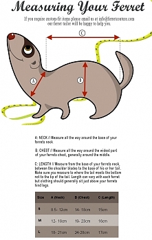 I want to make my ferret a dragon outfit