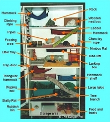 A dream home to aspire to! "The Grotto (The Great Rodent Residence of Tasteful Transcendental Opulence) The Grotto is our home-made rat cage. It is constructed from laminat...