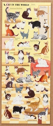 cute cat breed epoxy sticker by Mind Wave