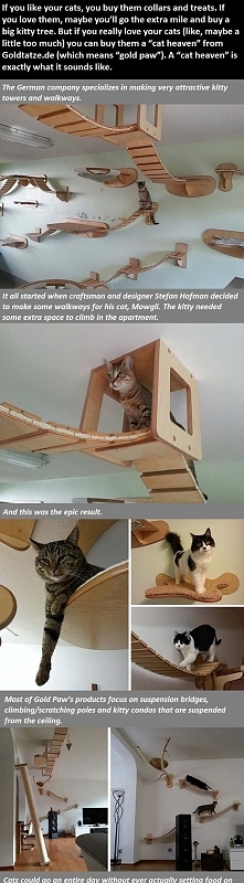 Want to make something like this for our cats :)