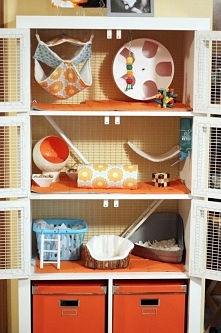 Cool idea for a ferret habitat.