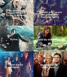 Wielu rzeczy możemy nauczyć...