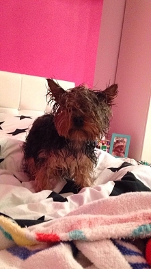 chcesz mnie wysuszyć ? już to widzę ! nie ma mowy! a i tak nie dasz rady