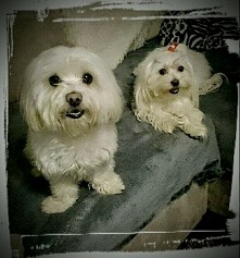 Synek ze swoją dziewczyną. Dwa zakochańce. ;-) <3