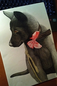 Zamówienie, czas pracy 6h