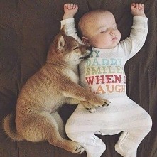 sweet,  baby,  sleep,  dog,...