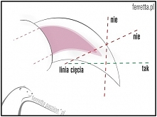 Metody obcinania pazurków fretek