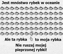 proste? proste. xd moja rybka 