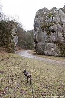 Brama krakowska *urlop z psem*
A Wy wyjeżdżacie z pupilami?