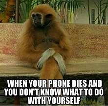 lol