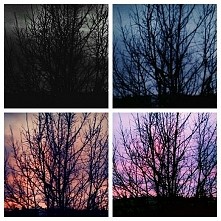 jedno zdjęcie- 4 różne obróbki❤❤❤