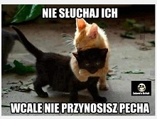 ...:):)

ciuchykonkurs.latw...